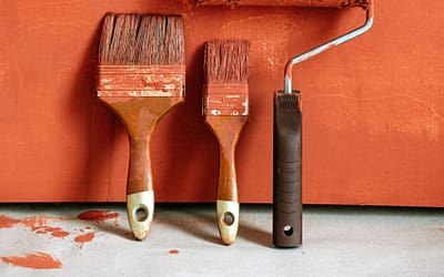 ¿Conocías las Pinturas Coloreables? Encuentra tu tono con PINTURAS MONTÓ