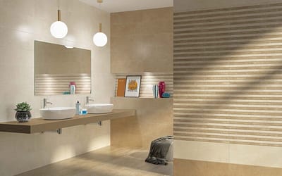 Todo lo que necesitas para tu ducha