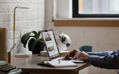 LA CAPACIDAD DE ADAPTACIÓN A UN CAMBIO, ES LA CLAVE DE ÉXITO EN CUALQUIER NEGOCIO