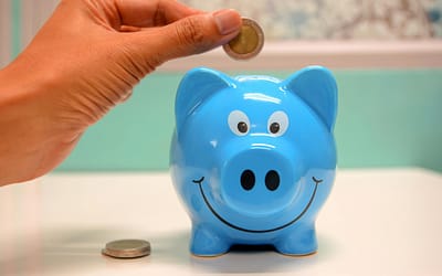 5 IDEAS DE NEGOCIO RENTABLE CON BAJA INVERSION